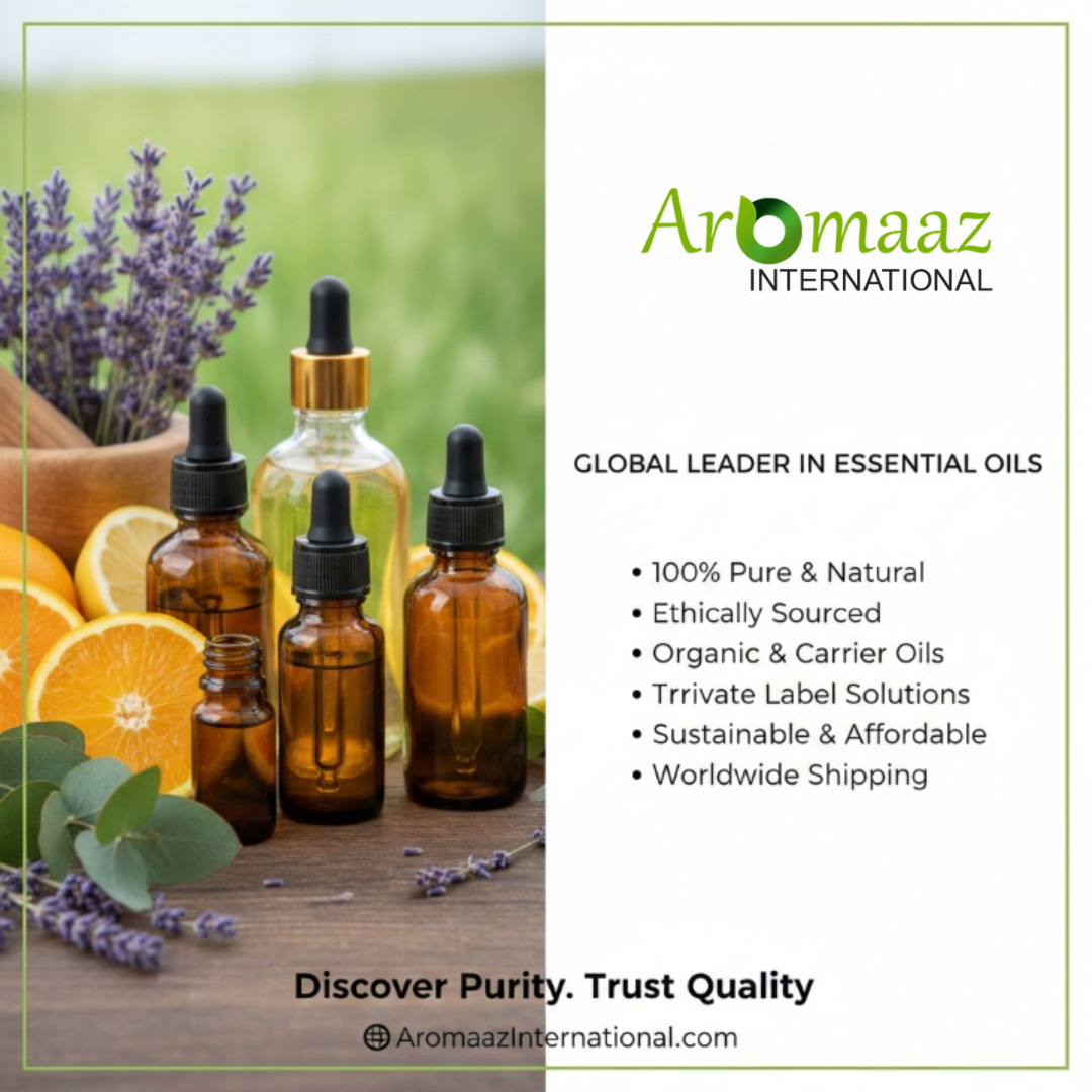2026 Guide to the Best Essential Oil Brands for Purity & Wellness