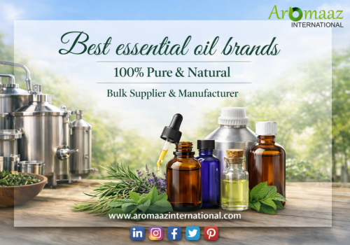 Top Essential Oil Brands in India for Pure & Natural Wellness (2026 Guide)